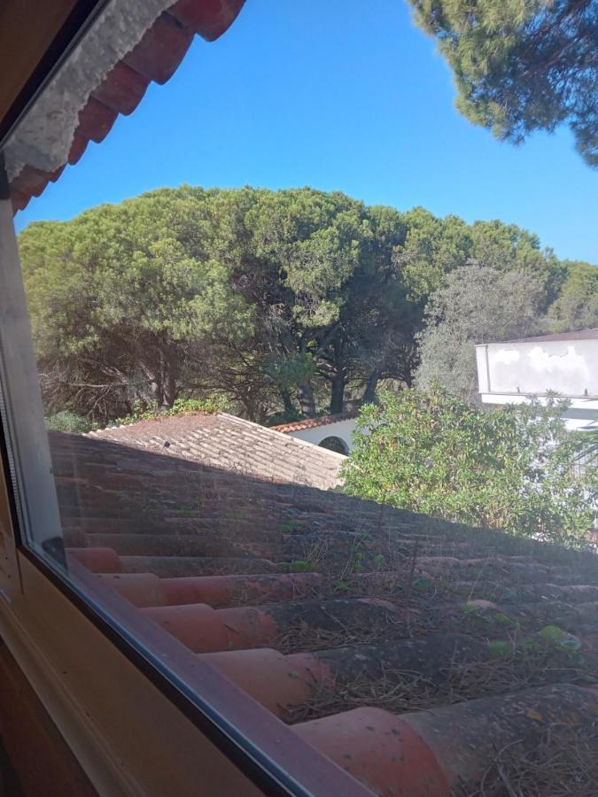 Villa St. Magnus El Rompido Bagian luar foto