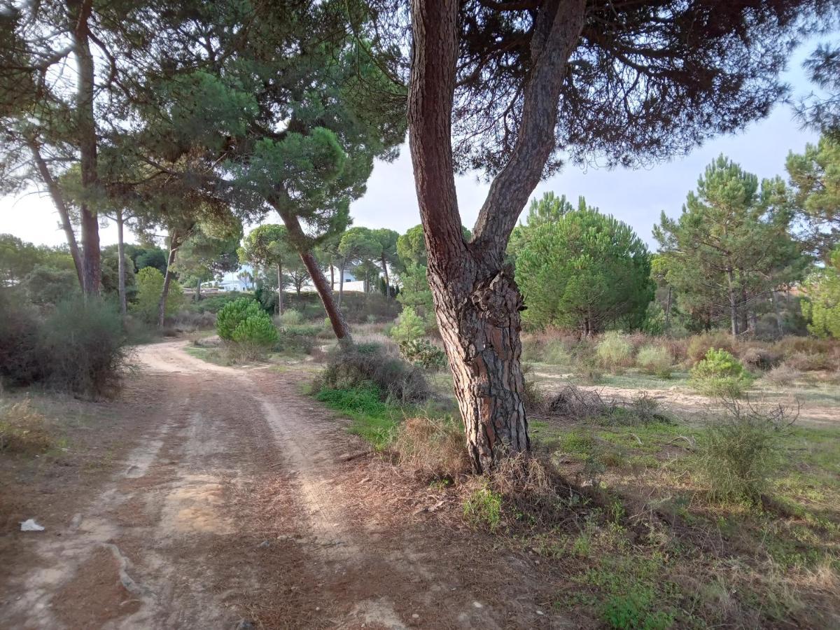Villa St. Magnus El Rompido Bagian luar foto